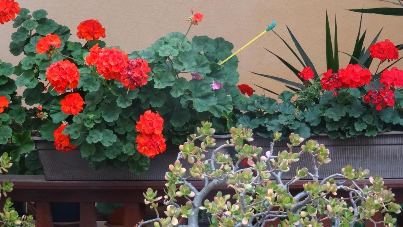 Pension K61 Sylke Und Michael Paffrath Gebesee エクステリア 写真